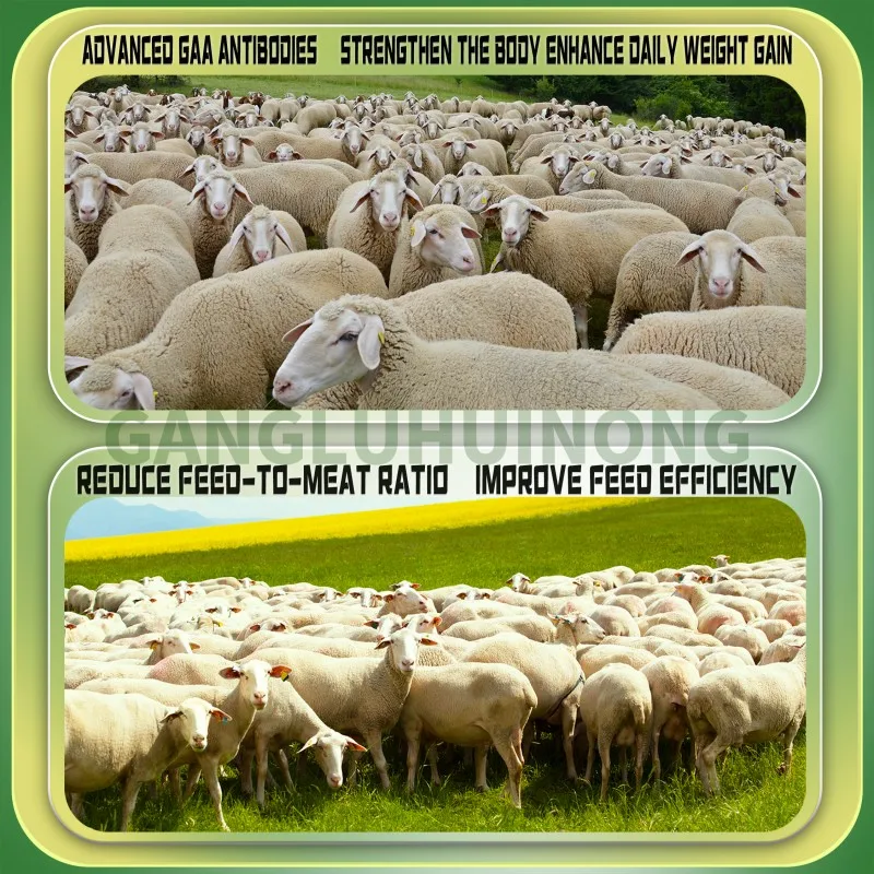 Cattle Premix Livestock Feed Additives Intestinal health for cattle and sheep