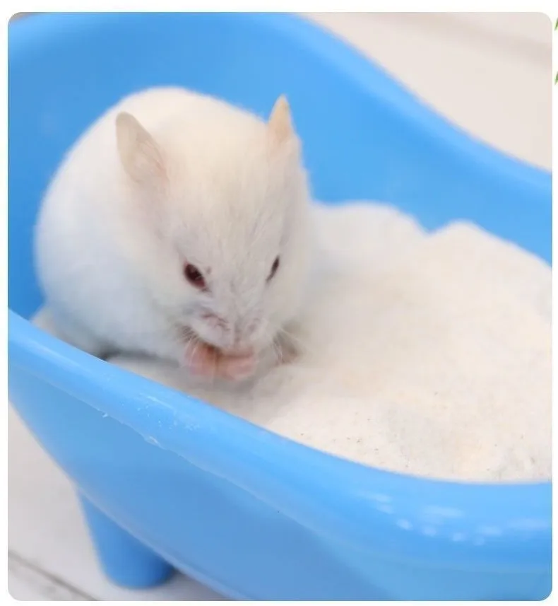 2024 Factory wholesale hamster bath sand shower sand bathing sand for small pet nontoxic clean fur