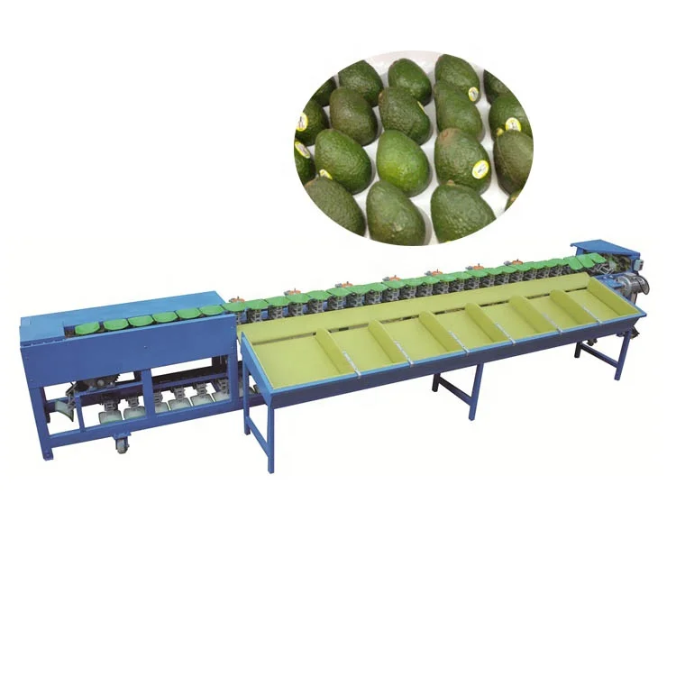 Electronic weight fruits measurement machine for pitaya and avacado graded by weight