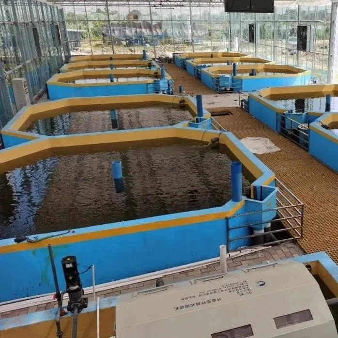 recirculating aquaculture system