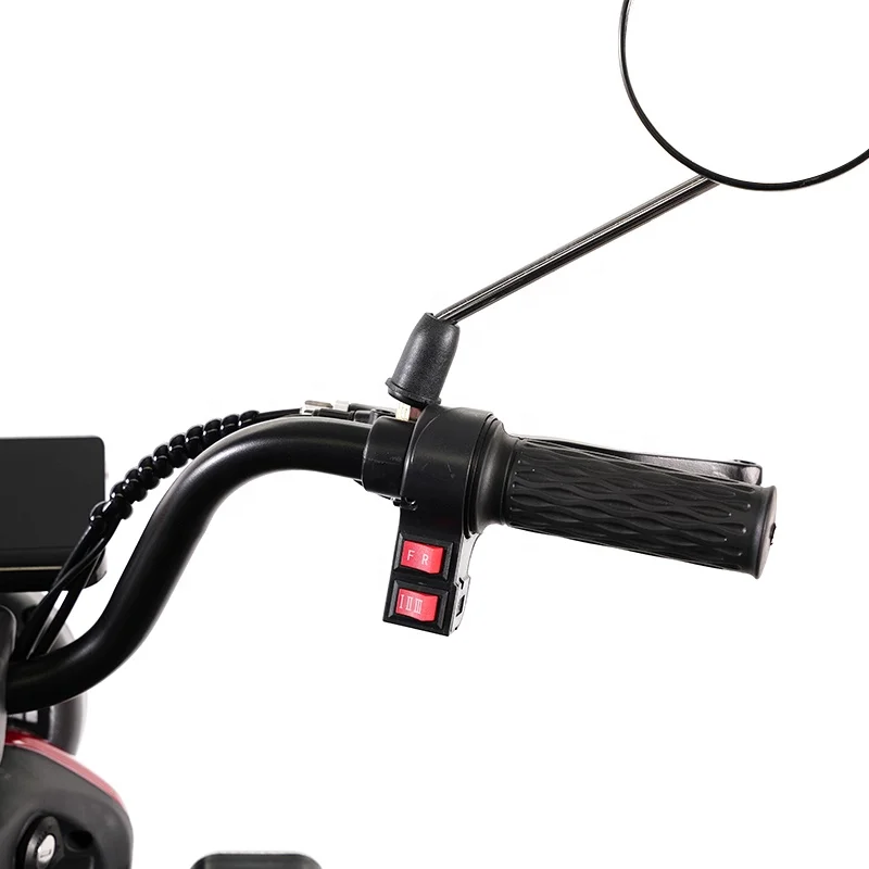 Electric Three Wheelers/Electric Tricycle