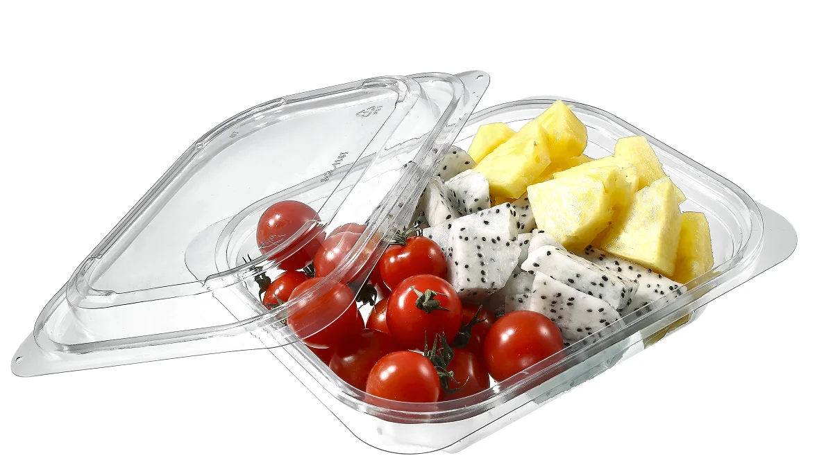 Disposable rectangle Plastic Fruit Salad Container Take away Packaging PET Vegetable salad Box