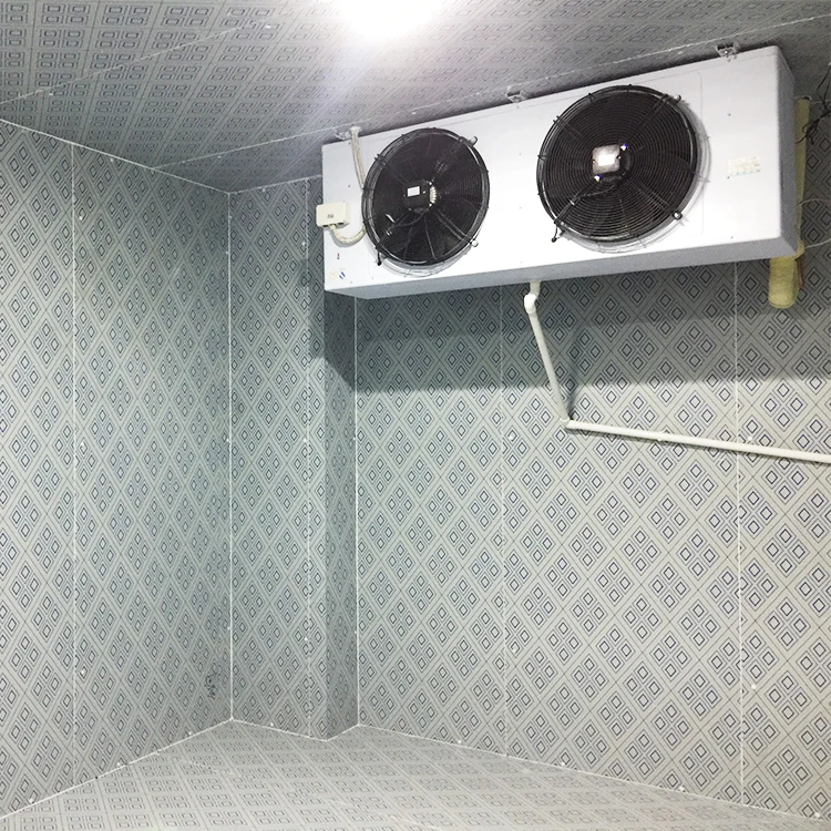 High standard small cold room storage equipment manufacturer