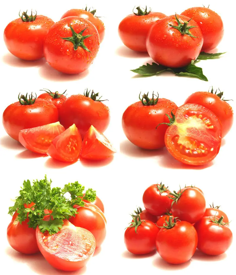 Greece HOT sell Fresh Tomato sweet  Natural red  Best quality wholesale thailand fresh tomatoes