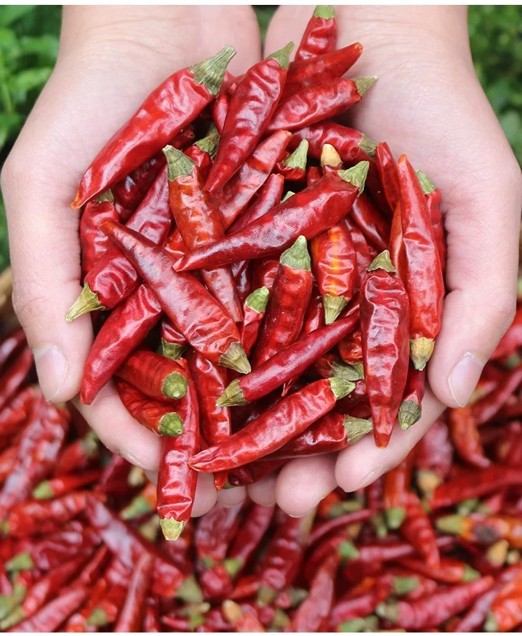 Air Dry Chilli Whole Chili