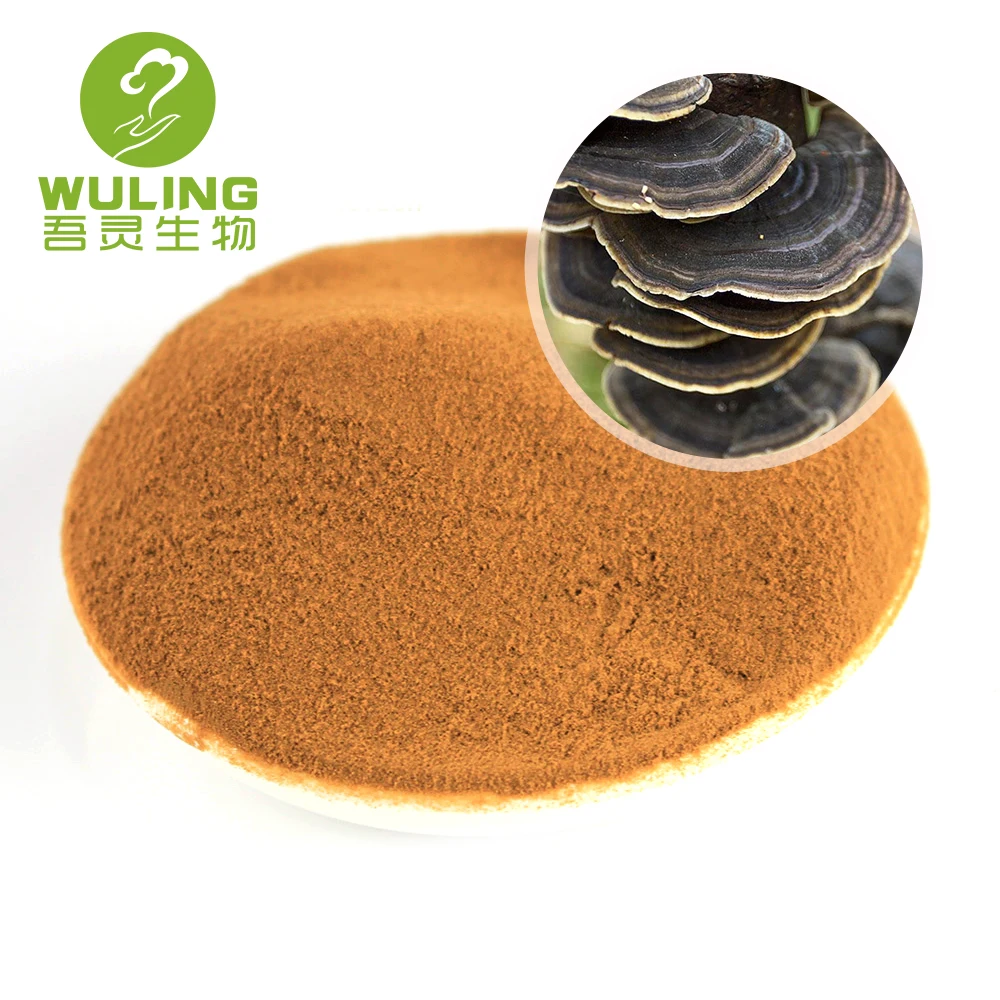 Высококачественный порошок экстракта хвоста индейки, высушенный на воздухе, бета-глюкан 50%