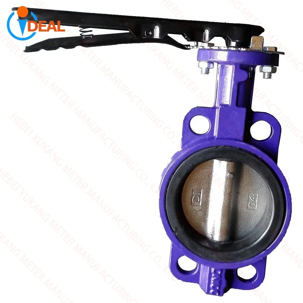 Ductile Iron Angle Steel 4 Inch Cold Water Lug Type Manual Ductile Butterfly Valve Cast Iron Electric Actuator Butterfly Valve