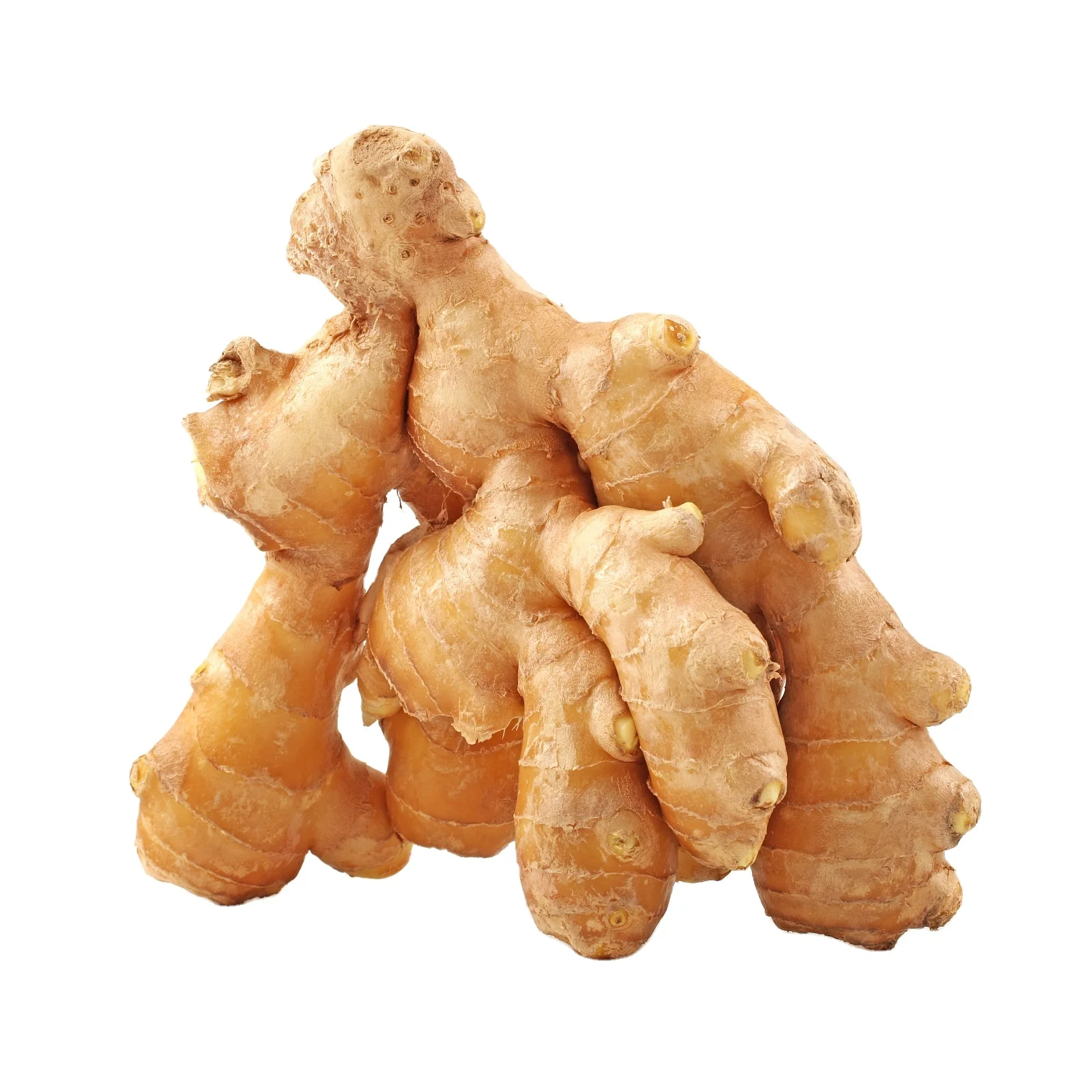 New crop Arrival Fresh ginger With Weight 100gr 150gr 200gr 250gr UP ginger new ginger this year