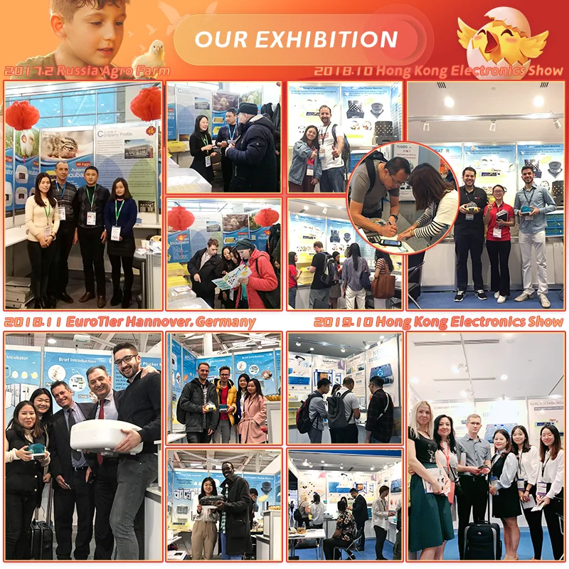 HHD Solar Full Automatic Chicken Egg Incubator And Hatchery Motor Turner Water Feed for 28 30 Eggs Capacity In Cameroon Kenya