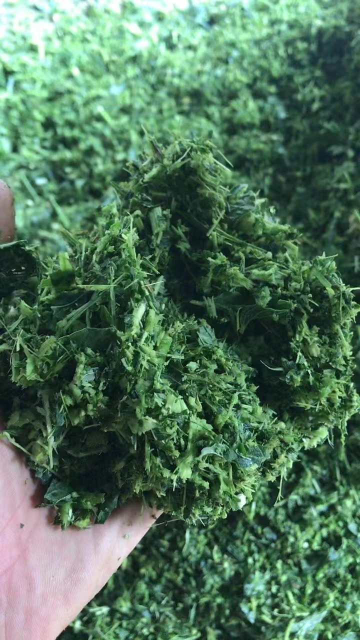 2017 Hot Sale Small Straw Crusher High Productivity Chaff Cutting Feed Shredder 220V Motor for Farm Plant Feed Industries