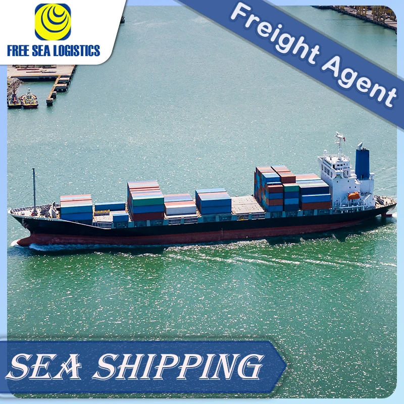 Professional logistics China to Argentina air/sea freight forwarder  door-to-door service DDP