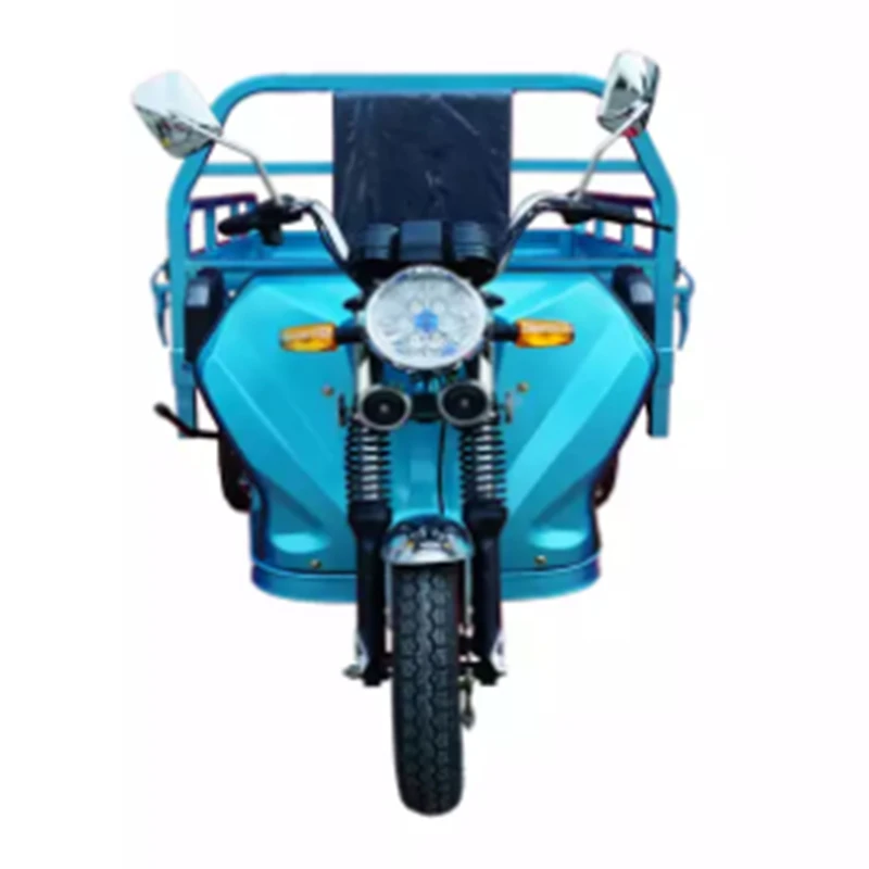 Factory Price Hot sale Three Wheel Cargo Tricycle Battery Electric Trikes for Adults 60V1000W Motorized tricycles