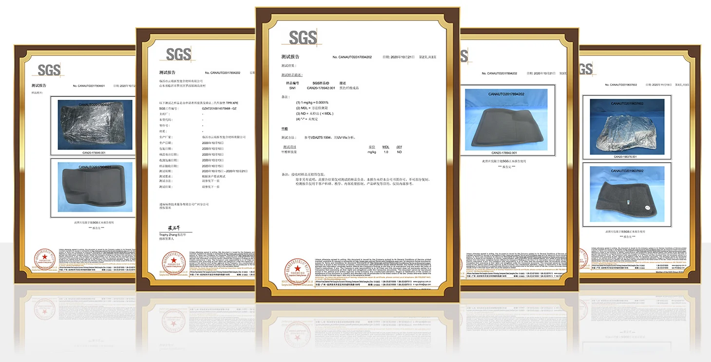 paste-pic-dp_uuid_nvo7w