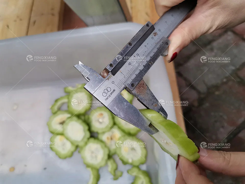 FC-305 Industrial Leafy vegetable slices strips cutting flaking machine coconut bitter gourd chopping shredding cutter