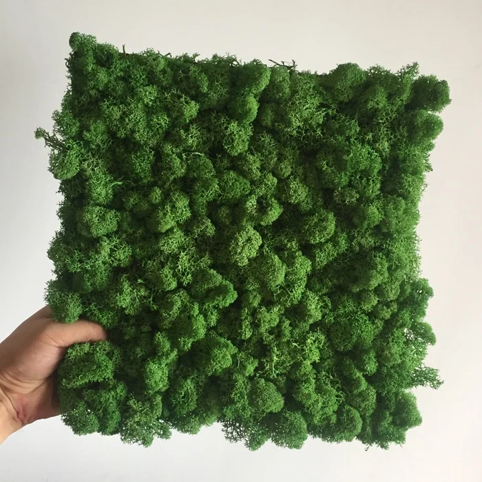 Interior Decoration Office Green Wall Panels Reindeer Preserved Moss