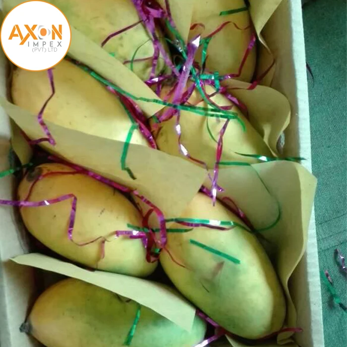 
Wholesale Vietnam Healthy Organic Mango Cheap With 100% Tropical Nature Fruit From Pakistan 