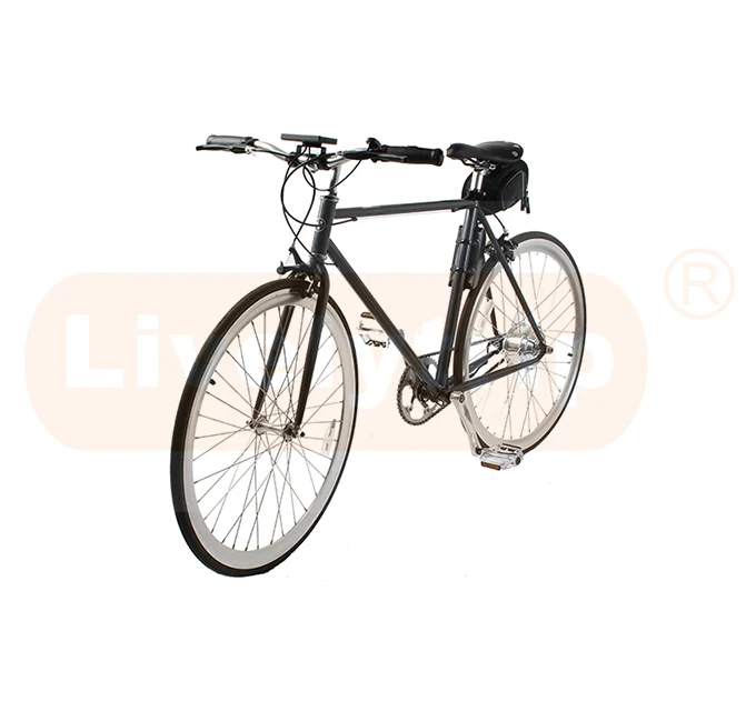 250w rear motor electric bike fix bicycle with single speed and steel frame