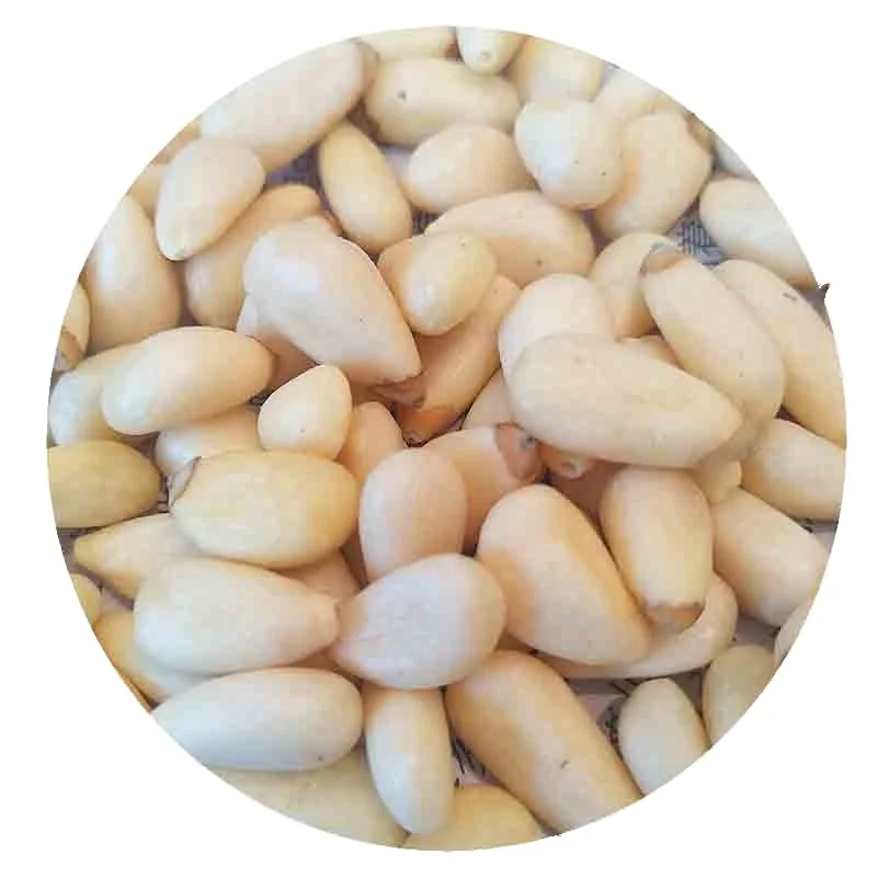 Dried Nut Raw Pine Nuts Kernels Red Pinenuts Cedar Pine Nut Kernel
