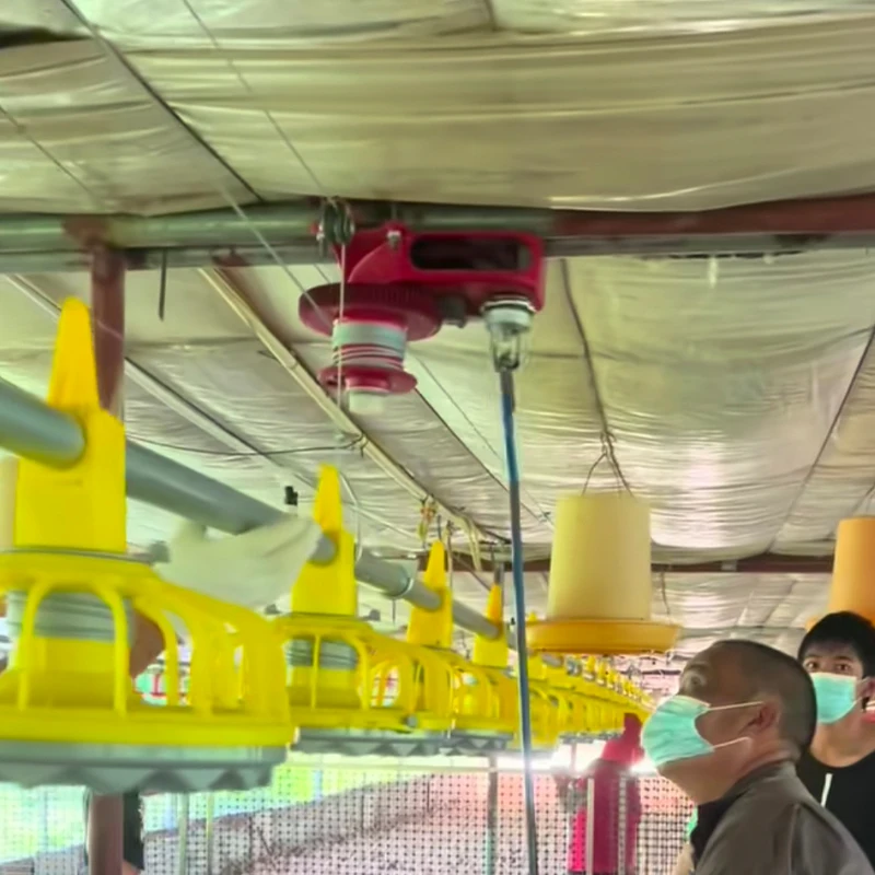 Broiler Chicken Farm Nipple Drinker Animal Drinking System Pan Feeder Main Feed Line for Poultry Husbandry