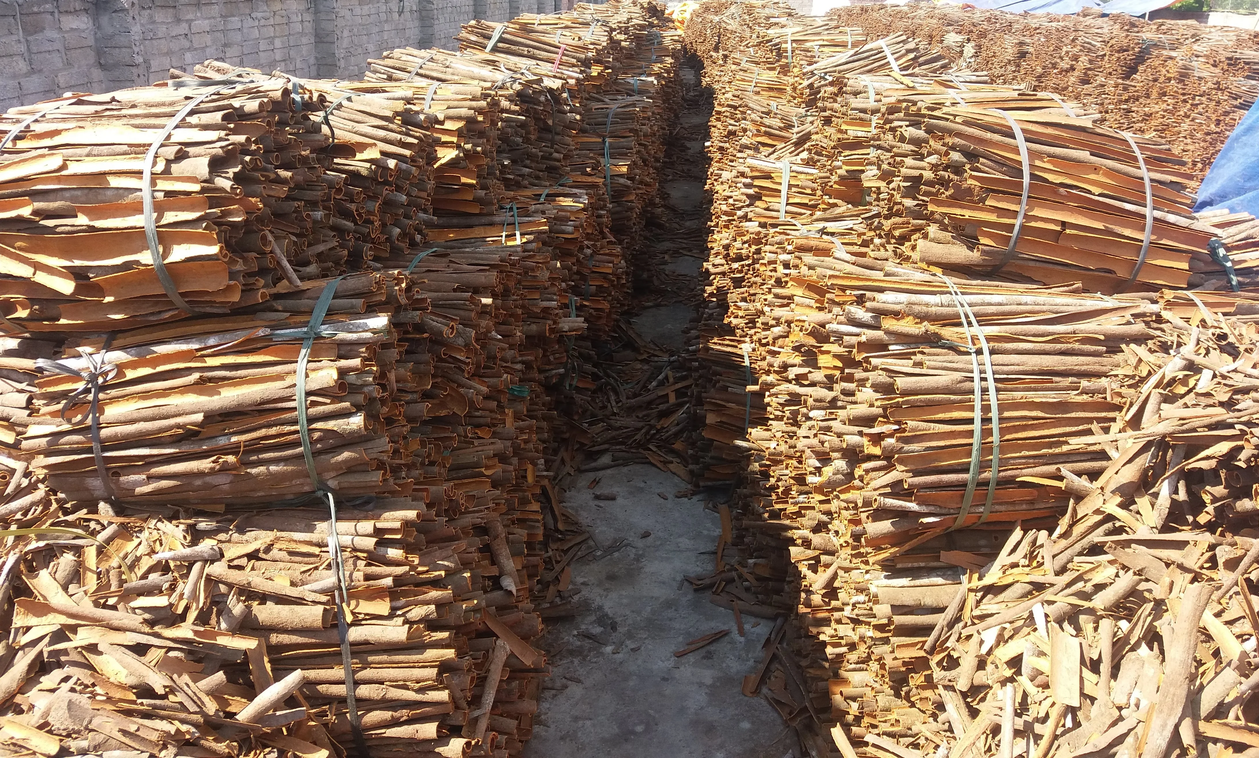 
New Crop 2020 Grade 1 Split Cassia 