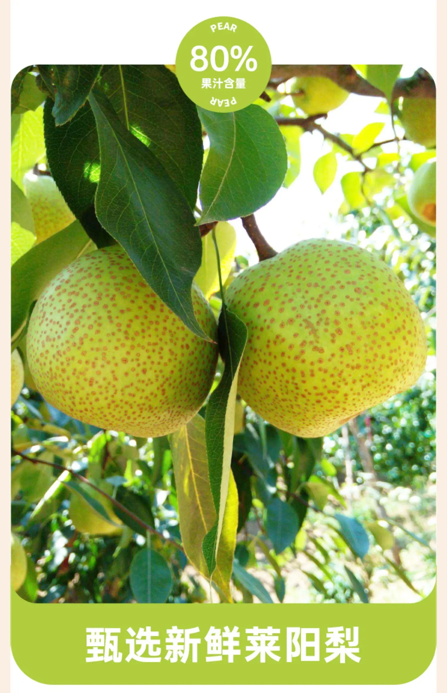 So Natural Crispy Pear Freeze Dried Pear Crisps