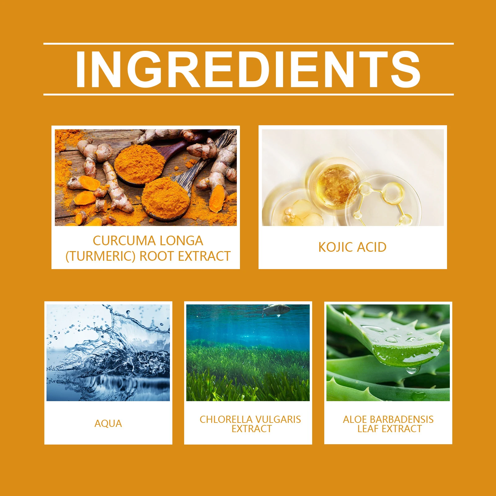 OEM ODM Turmeric Kojic Acid Face Serum Natural Skin Care Hydrating Moisturizer Whitening Kojic Acid Serum