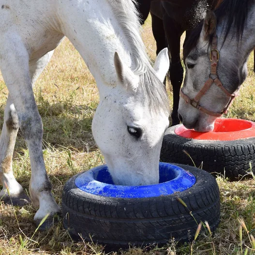 16 Qt. Round Livestock Tire Pet Horse Farm Pan Feeder Bowl Plastic Animal Food & Feed Animal Feeders