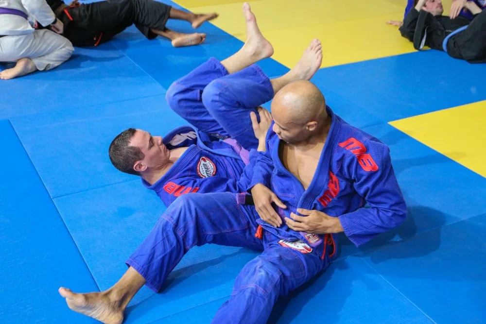 LINYIQUEEN Sample of Tatami Judo Mat IJF Approved With PU Sponge Anti-slip Back