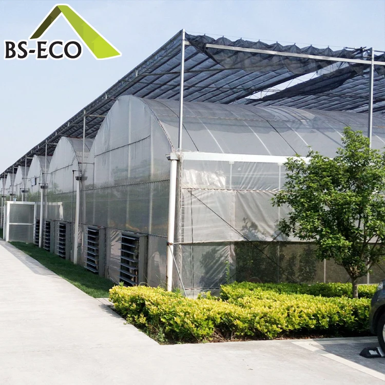 Hot sale agricultural cultivation equipment Steel Structure PO film greenhouse for Breeding/Exhibition/Research/Aquaculture