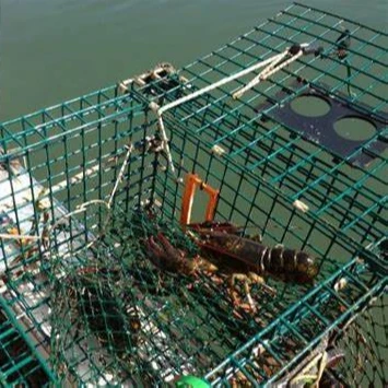 PVC Plastic coated welded wire mesh for making crab trap