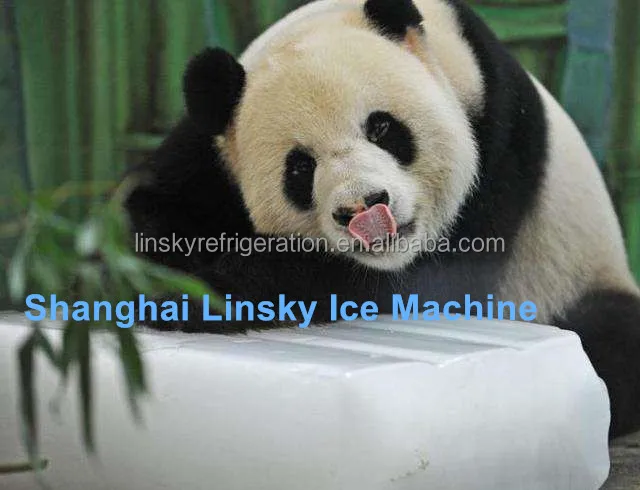 Industrial ice machine 30Ton ice block making machine