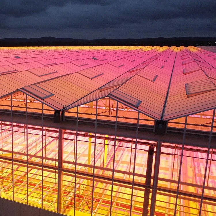 Waterproof Dimmable  full Spectrum 630w Indoor Strawberry Flowering Medical Plant greenhouse light grow lamp