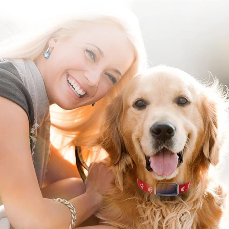 
High quality mini GPS locator for pet cat and dog gps traker BT 