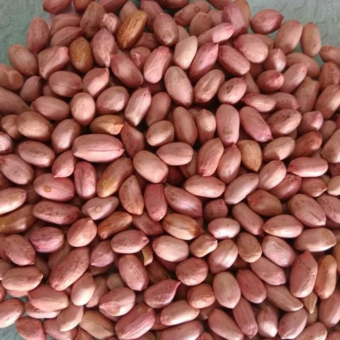 High Quality Blanched Peanut Kernels