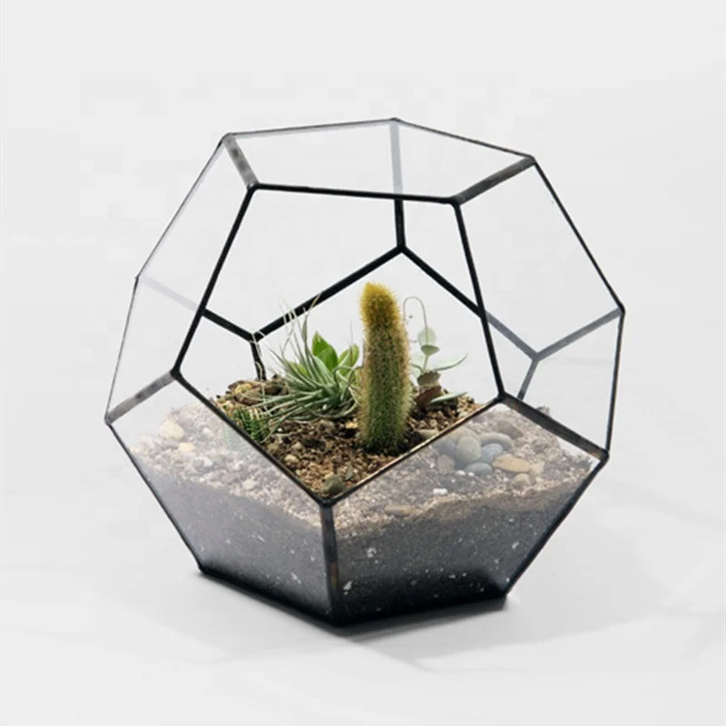 Wholesale New Design and High Quality Diamond shaped Glass Geometric Terrarium