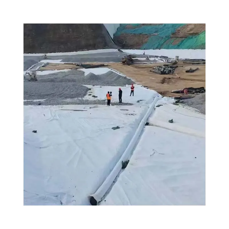 Factory Price HDPE Geomembrane 1mm 2mm Pond Liner/Dam Liner/Biodigester/Landfill Geomembranas High Quality Geotextiles for Sale