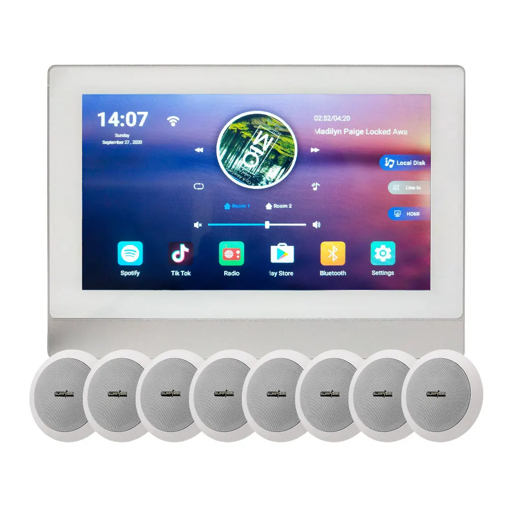В стене WiFi Android усилитель HiFi потолочное крепление динамик домашние театры музыкальная
