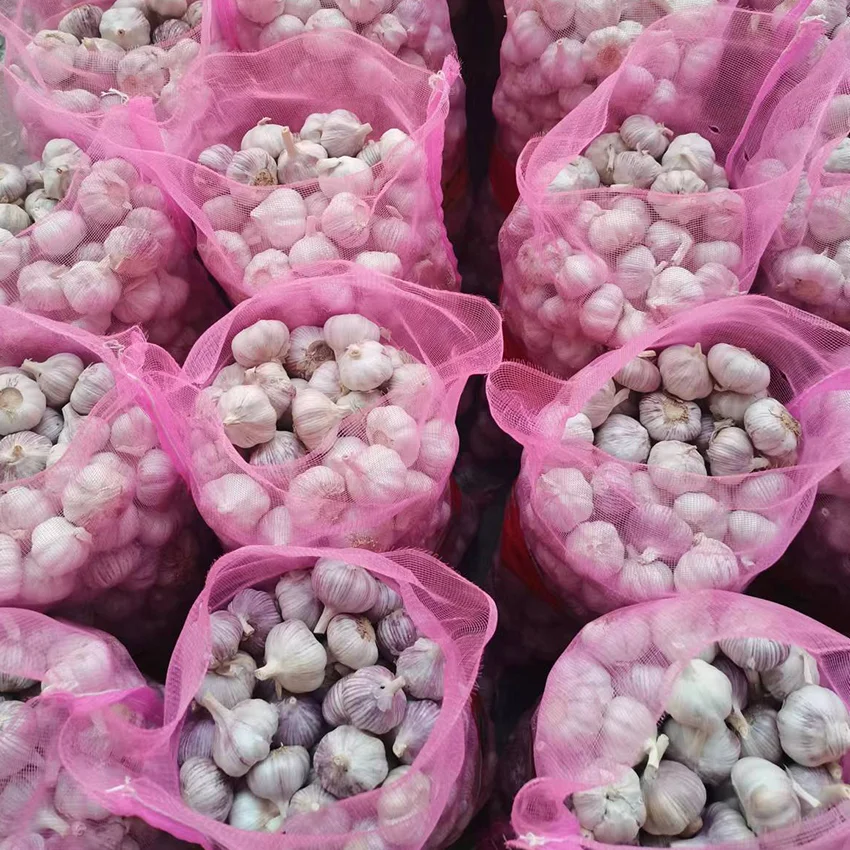 High quality wholesale organic pure white fresh garlic