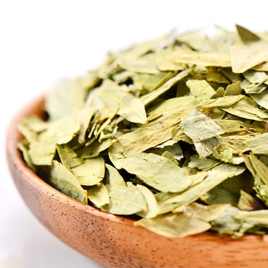 
Natural Chinese Medicine Herb of senna leaves for herbal extract 