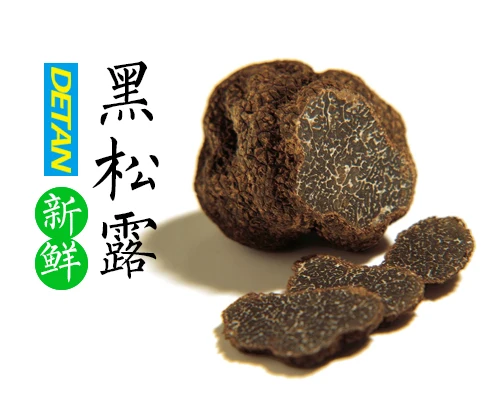 Natural Truffle Mushroom Chinese Wild Fresh Black Mushroom Truffle