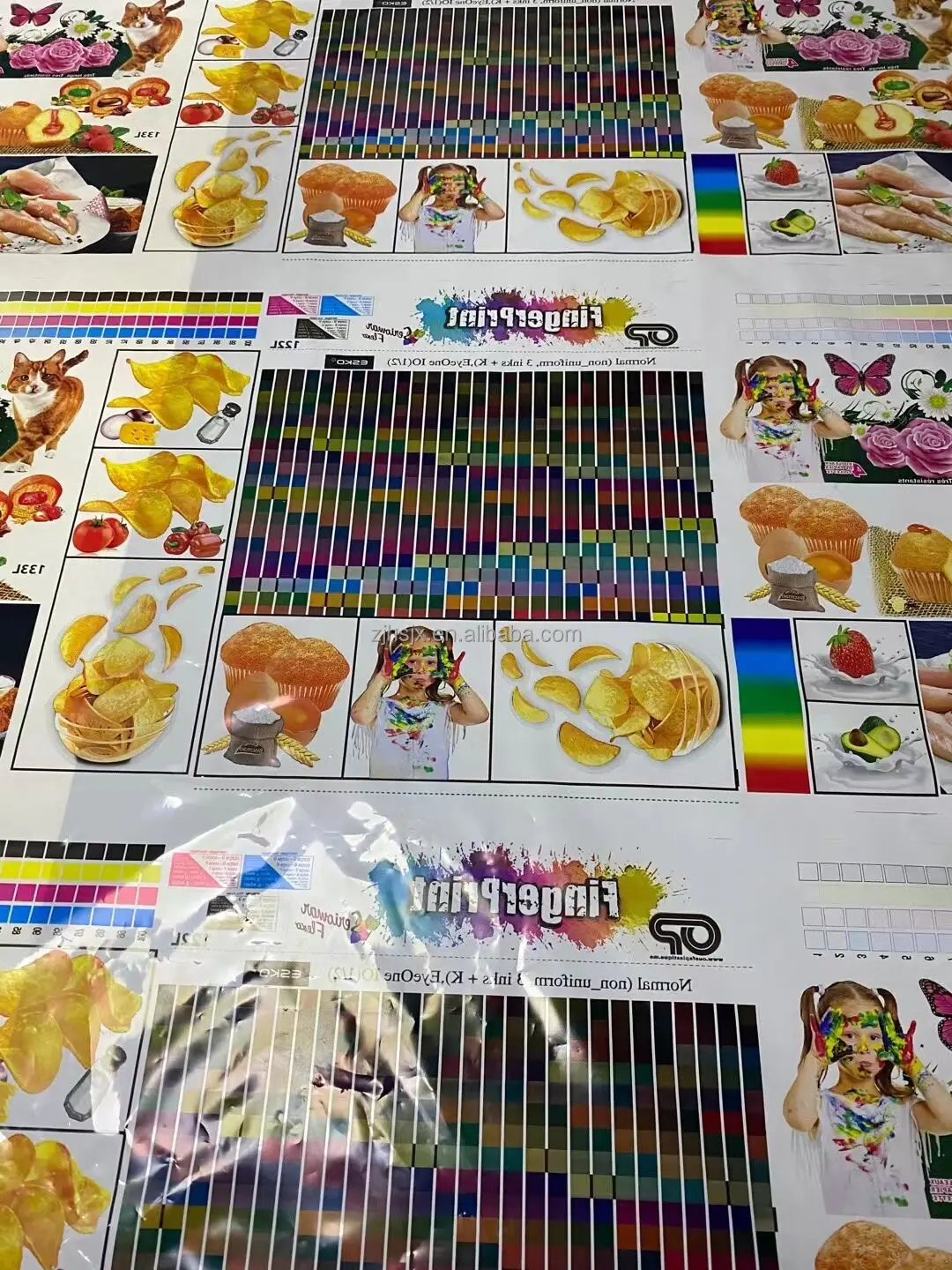 YTB-61200 High speed thermal paper and plastic film flexo roll to roll printing machine 5 color