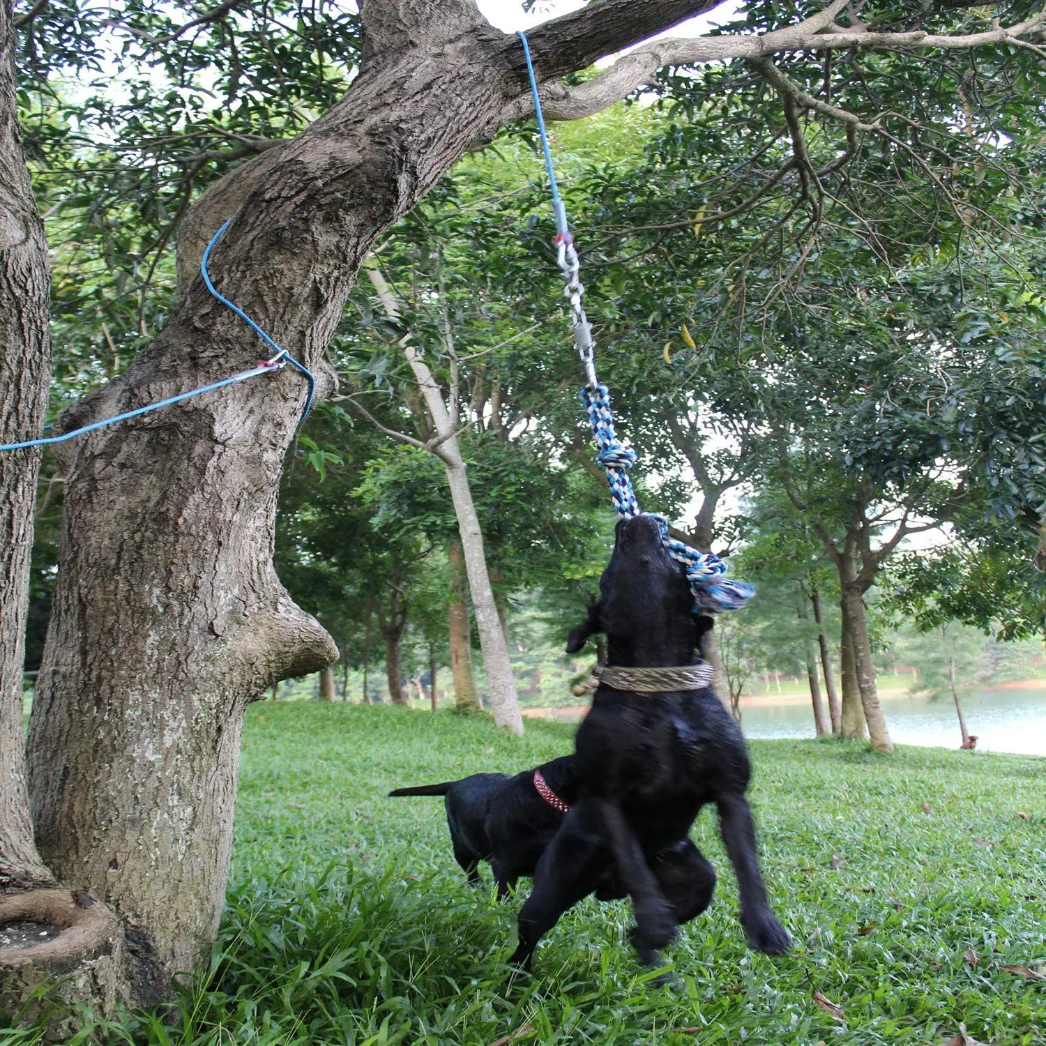 
Dog Hanging Bungee Tug Toy Strong Interactive Durable Retractable Tug of War Dog Rope Toy 