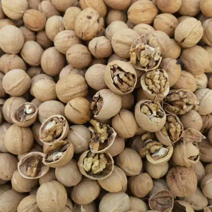 Chinese professional kernel walnut producer supplier manufacturer