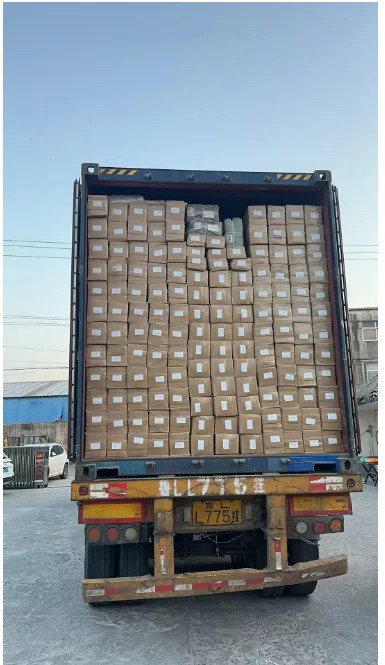 Wall cladding co extrusion wpc panel wall for interior and exterior