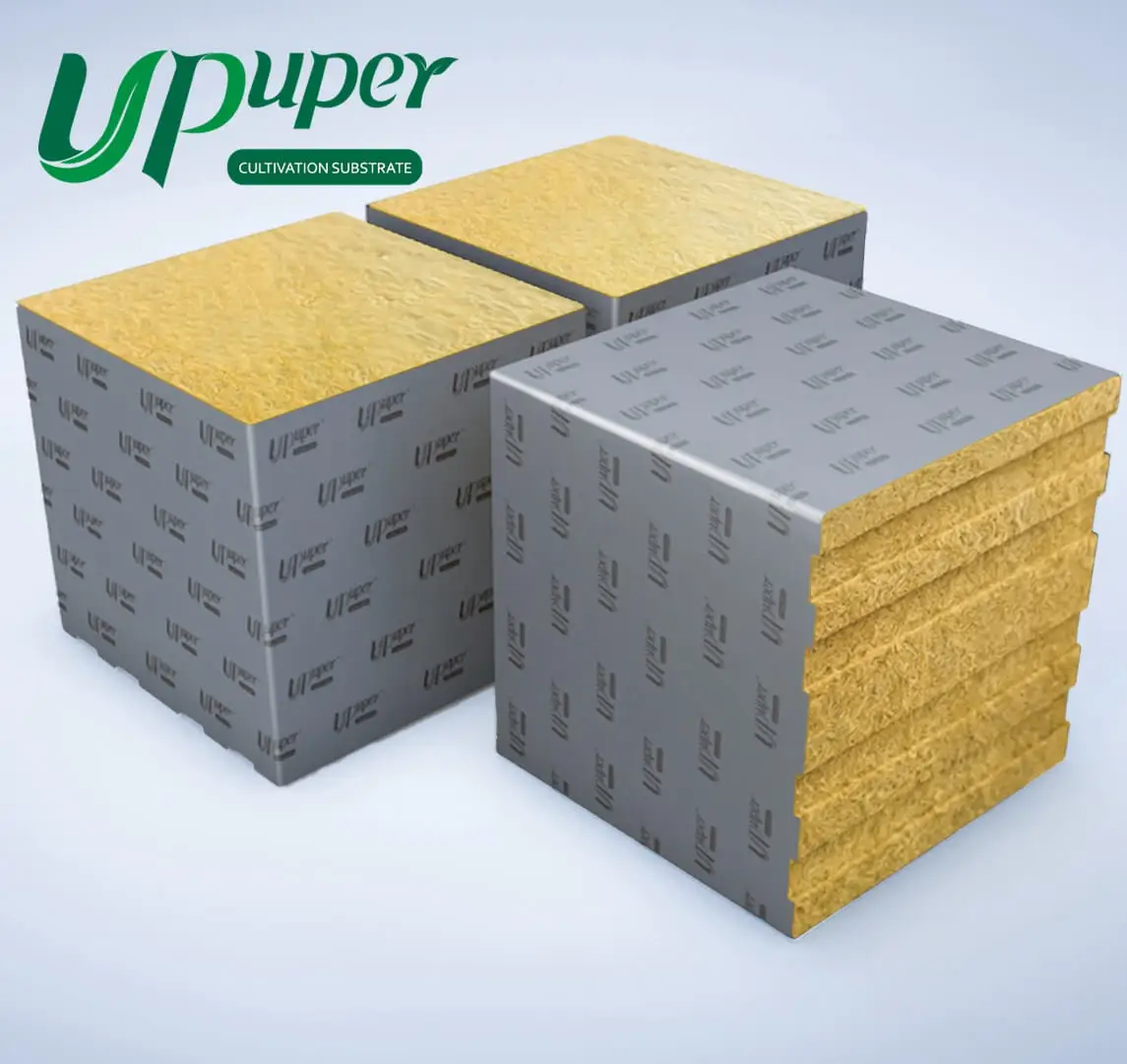 China manufacturer hydroponic box system UPuper rock wool cubes 8x8x8 grow blocks wholesale 20cm grow bag