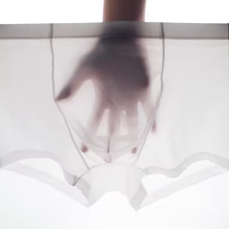 Custom See Through Breathable Mens Teen Boys In Mesh Briefs Mens Transparent Sexy Underwear