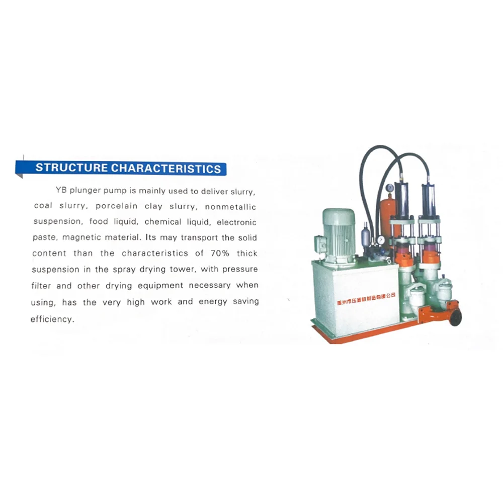 
Hydraulic Transmission piston Pump Ceramic Large Flow High Pressure Slip Pump 