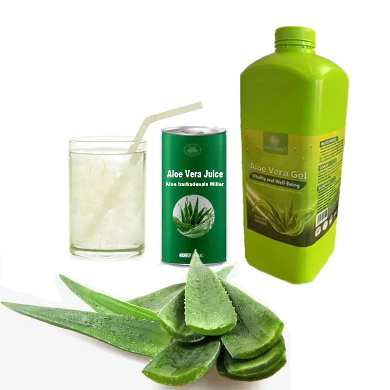 Bye constipation! my daily Aloe Vera Gel 1000ml Strengthening intestinal flora, detoxification, natural aloe juice