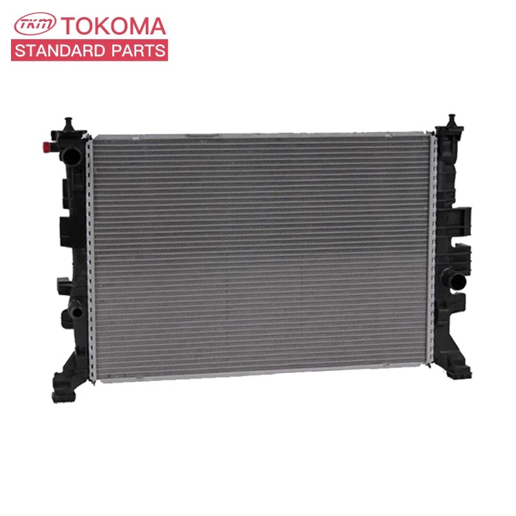 Auto Parts Cooling System Electric Radiator Cast Iron Radiator for BENZ C-CLASS W202 C220 CDI 2025005603 2025006403