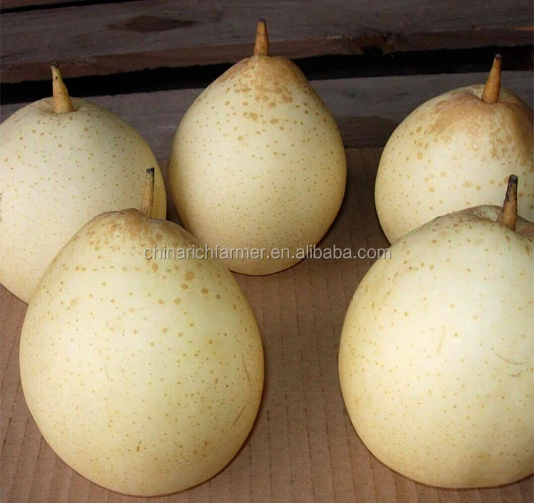 Fresh pear fresh fruit Ya Pear Asia Pear